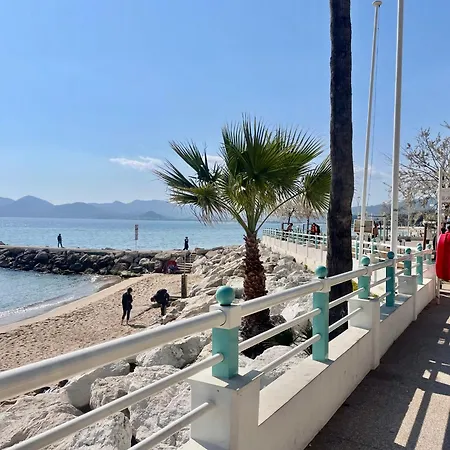 Harbor Dockside Cannes